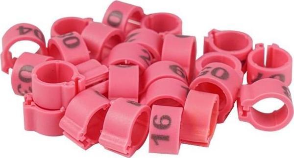 TavPet Güvercin Bileziği 25 Lik Pk. Numaralı Pembe - Image 1