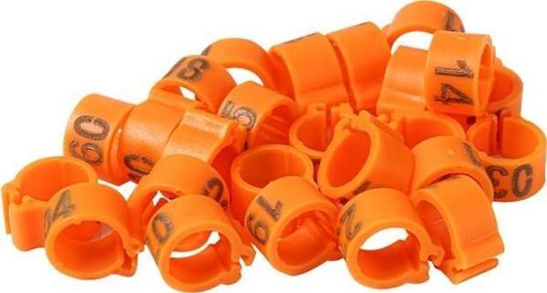 TavPet Güvercin Bileziği 25 Lik Pk. Numaralı Turuncu - Image 1