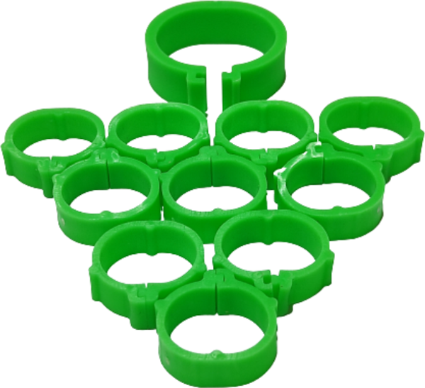 TavPet Tavuk Bileziği 18 mm 50 Lik Pk. YEŞİL - Image 1