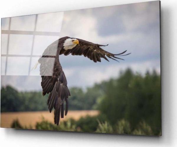 Kartal 2 Cam Tablo - Image 1