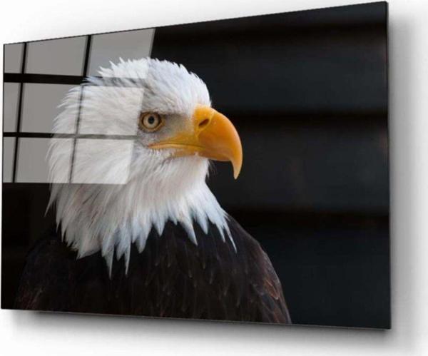 Kartal Cam Tablo - Image 1