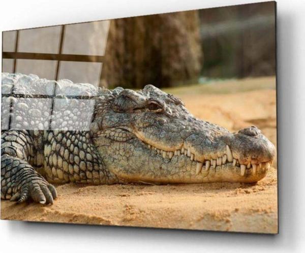 Timsah Cam Tablo - Image 1