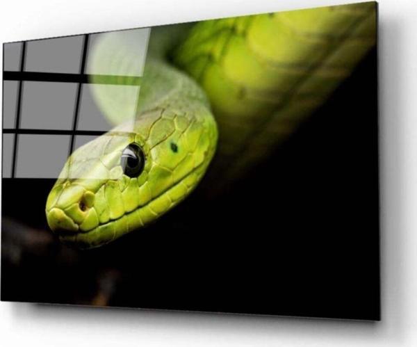 Yılan Cam Tablo - Image 1