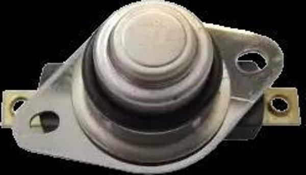 ARNİCA SI MARIN TERMOSTAT - Image 1