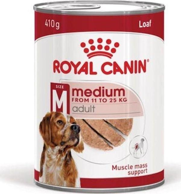Royal Canin Loaf Mousse Orta Irk Ezme Yetişkin Köpek Konservesi 410Gr - Image 1