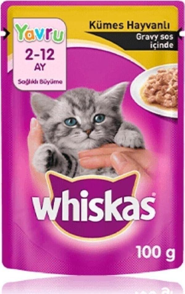 Şampiyon Whiskas Pouch Yavru Kedi Maması - Image 1