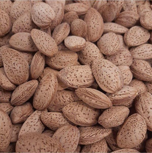 Mutbirlik Kabuklu Taş Badem 1 kg - Image 1