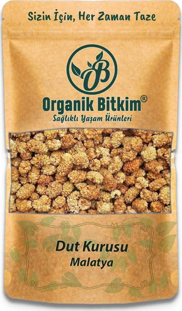 Organik Bitkim Malatya Dut Kurusu 250 gr. - Image 1