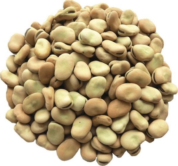 Ulamış Organik Kuru Kabuklu Bakla Tane 1 kg - Image 1