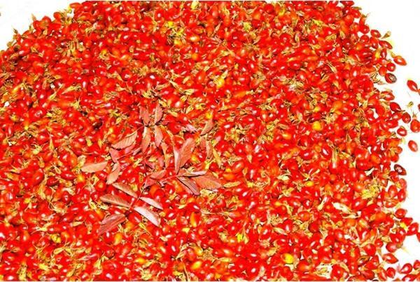 İpek Gurme Taze - Yaş Kusburnu 5 kg İp kg 4705 - Image 1