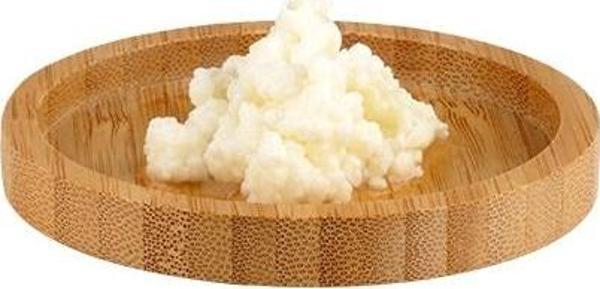 Aktarist Kefir Mayası 20ml - Image 1