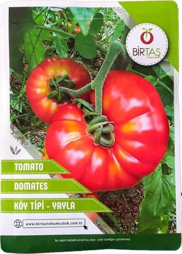 Birtaş Domates Tohumu - Köy Tipi - Image 1