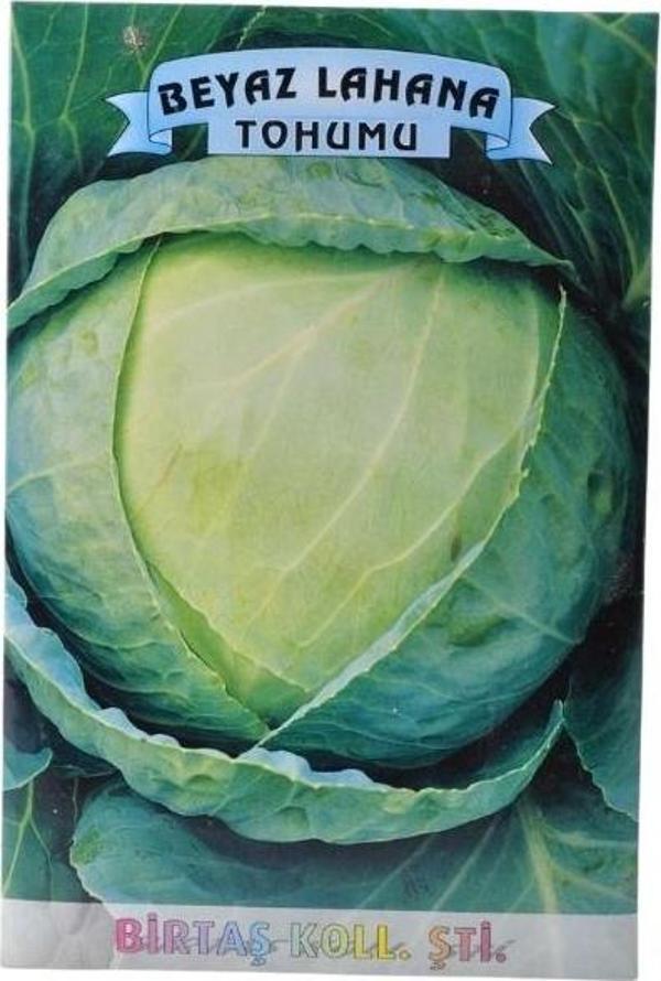 Birtaş Göbek Salata Tohumu - Image 1