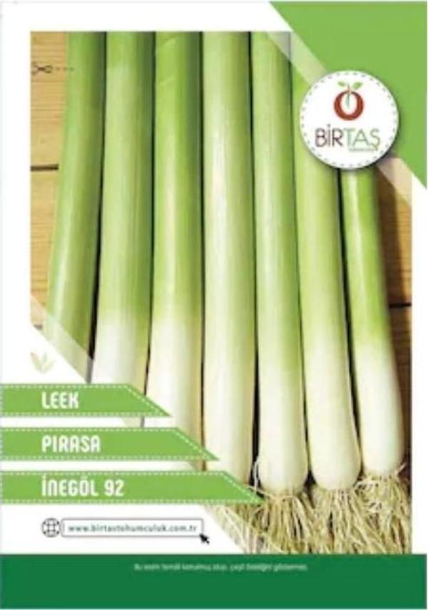Birtaş İnegöl Beyaz Pırasa Uzun Bacaklı Tohumu - Image 1