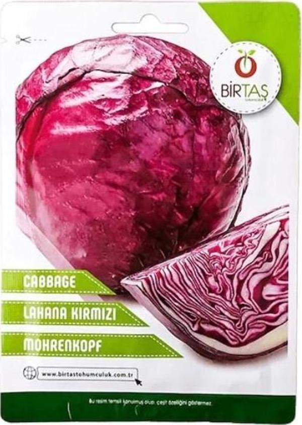 Birtaş Kırmızı Lahana Tohumu - Image 1