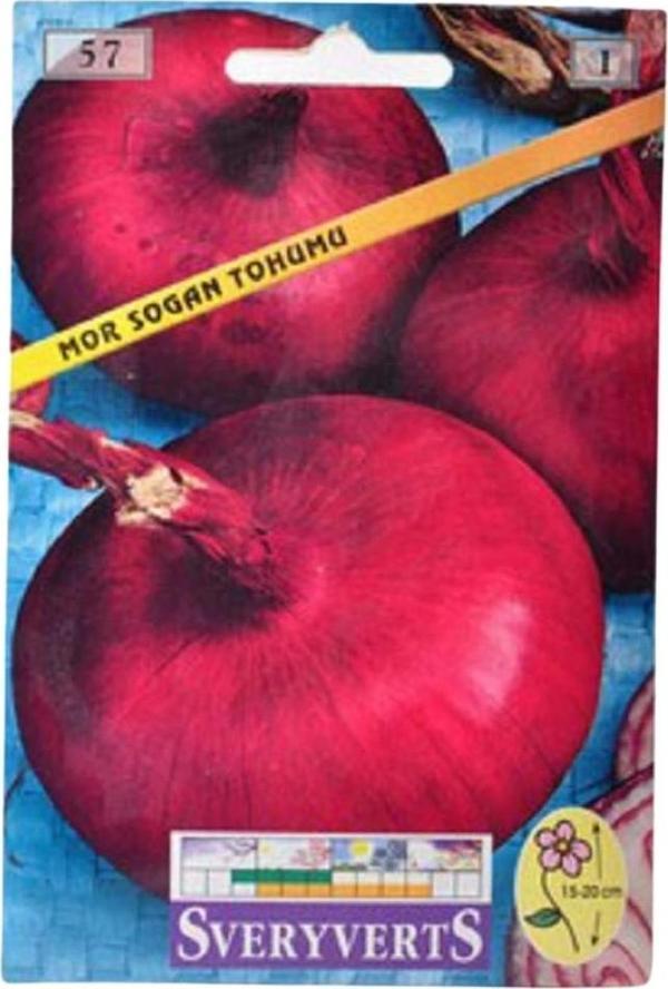 Sveryverts Mor Soğan Tohumu - Image 1