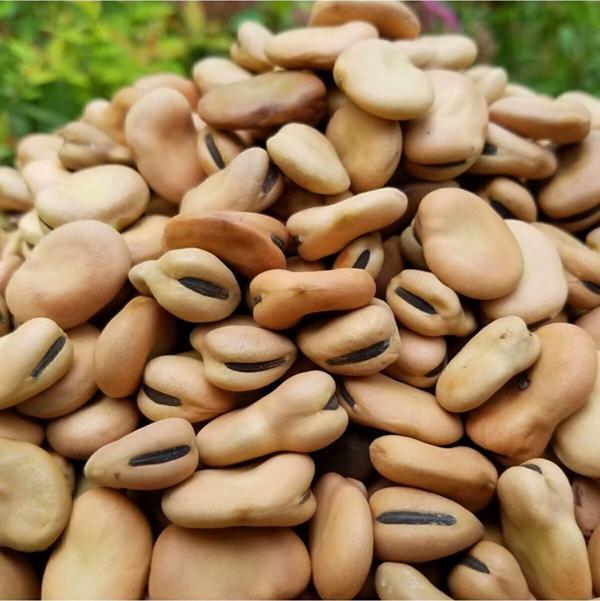natural Kuru Bakla 5 Kg - Image 1