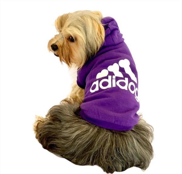 Mor Adidog Kapşonlu Köpek Sweatshirt Köpek Kazağı - Image 1