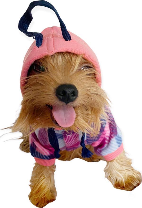 Mini Suqare Pie Kapşonlu Ceket Sweat by Kemique Köpek Kazağı  - Image 1