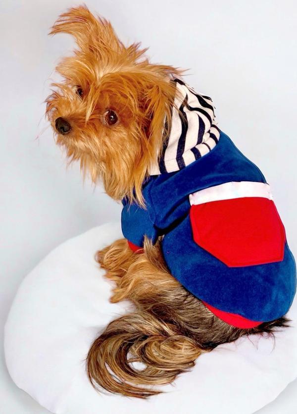 Neo Tommie Kapşonlu Köpek Sweatshirt Köpek Kıyafeti Köpek Elbisesi - Image 1