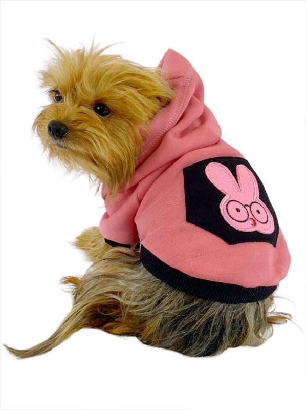 Student Rabbit Sweatshirt Köpek Kıyafeti Köpek Elbisesi - Image 1