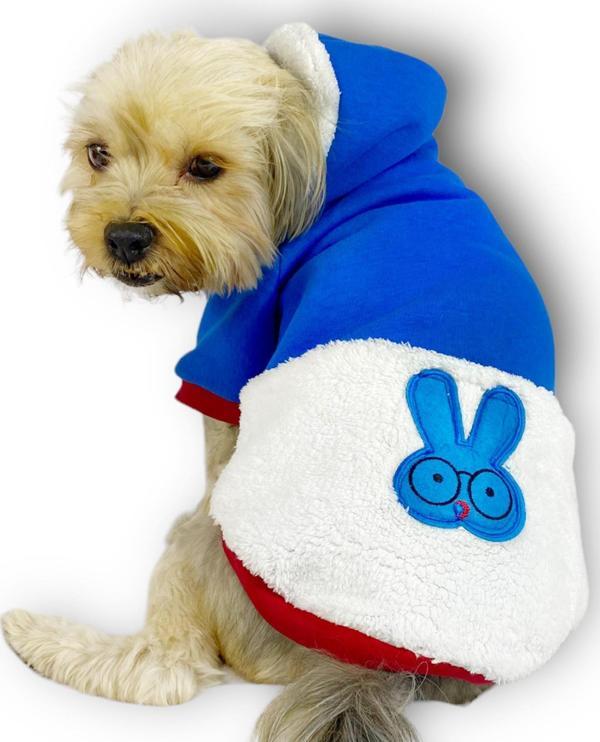 Sweet Blue Rabbit Kapşonlu Sweatshirt Köpek Kıyafeti Köpek Elbisesi  - Image 1