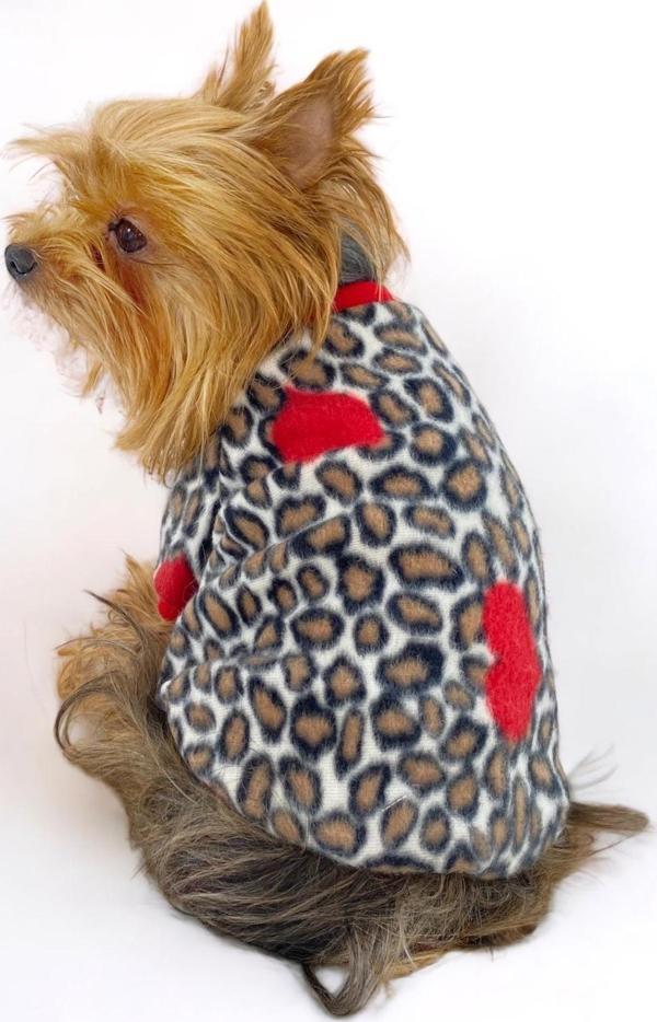 Animal Leo Print Sweat Red Sweat Köpek Kazağı Köpek Poları - Image 1