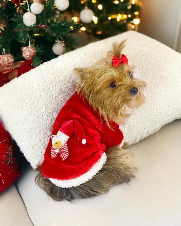 Kitty Santa Köpek Kazağı, Noel , Yılbaşı Elbisesi Kıyafeti - Image 1