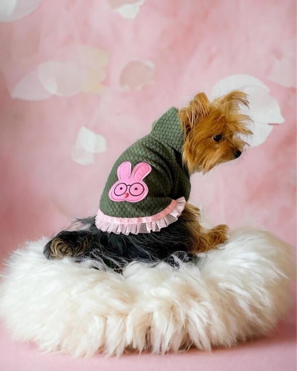 Greenco Bunny Kapşonlu Sweat Elbise by Kemique Köpek Kazağı  - Image 1