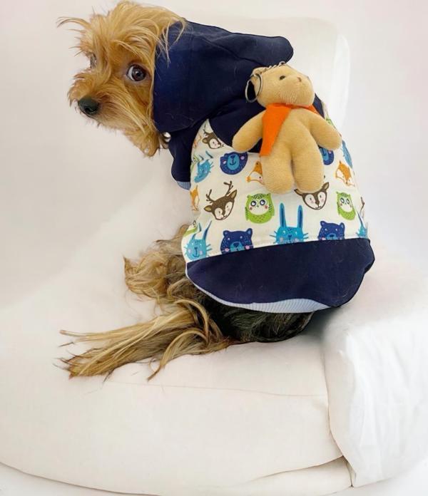 Teddy Roo Kapşonlu Köpek Sweatshirt Köpek Elbisesi Köpek Kıyafeti - Image 1