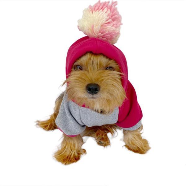 Pink Amigo Kapşonlu Sweatshirt Köpek Kıyafeti Köpek Elbisesi  - Image 1
