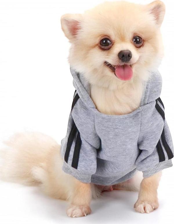 Gri Adidog Kapşonlu Sweatshirt Köpek Kazağı - Image 1