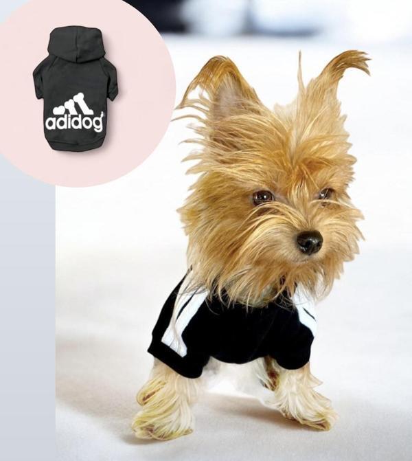 Black Adidog Kapşonlu Sweatshirt Köpek Kazağı - Image 1