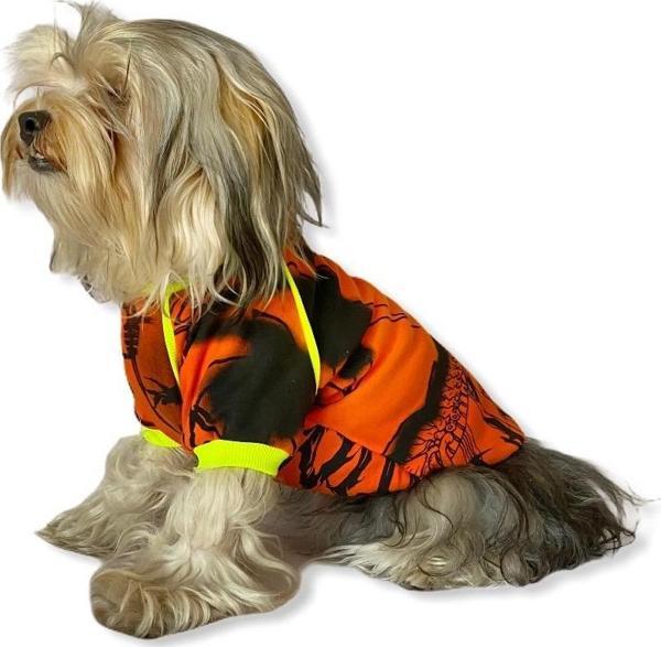Orange Grafiti Sweat by Kemique Köpek Kazağı  - Image 1