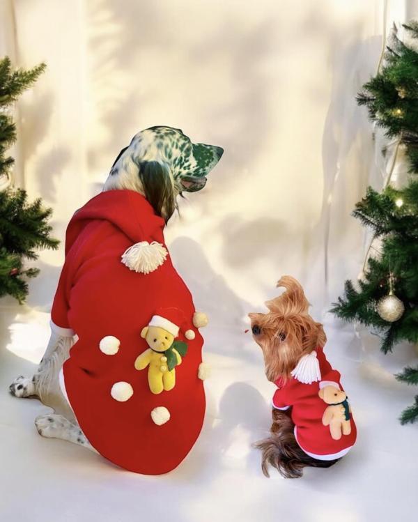 My Teddy Noel Kapşonlu Köpek Süeteri, Köpek Kıayafeti - Image 1