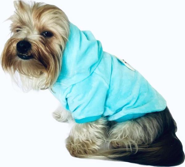 Blue Bear Kapşonlu Sweat by Kemique Köpek Kazağı  - Image 1