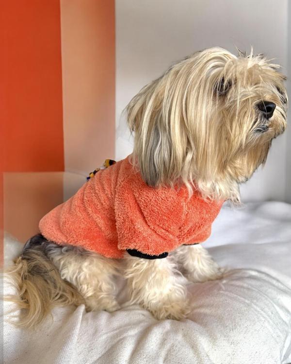 Turuncu İkizler Kapşonlu Sweat by Kemique Köpek Kazağı  - Image 1