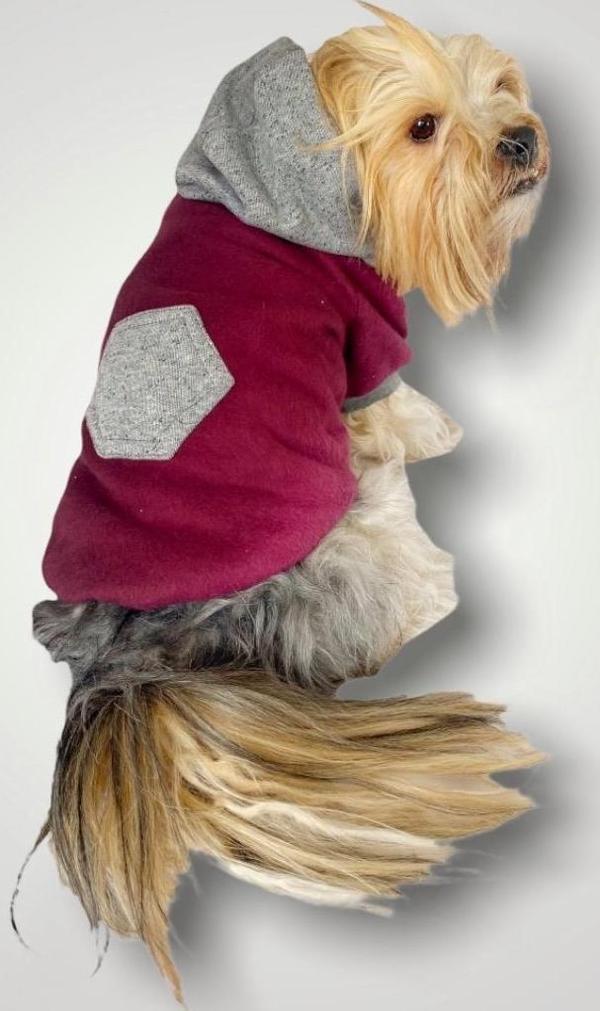 Burgundy Gray Kapşonlu Sweatshirt Köpek Kıyafeti  - Image 1