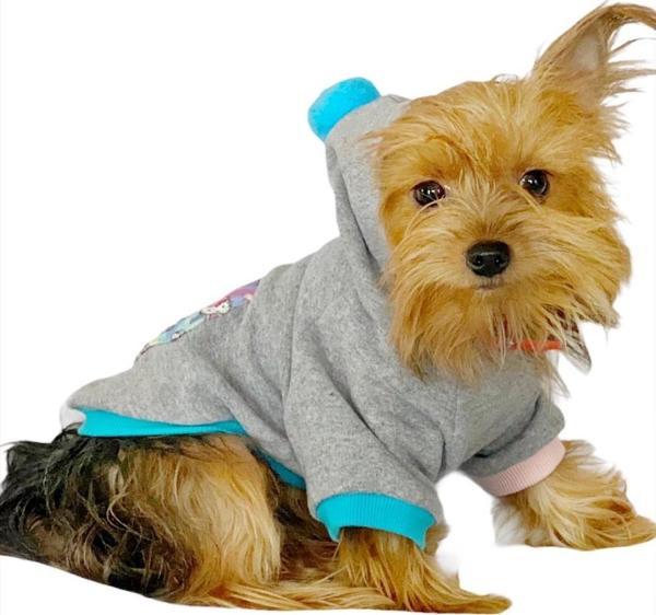 Kitty Grey Kapşonlu Sweat by Kemique Köpek Kazağı  - Image 1