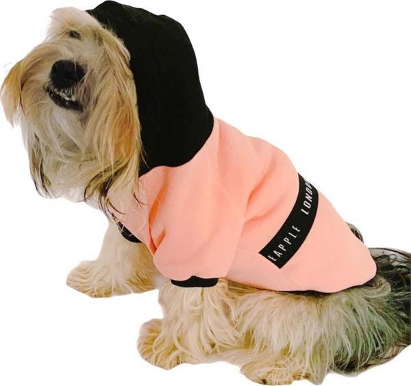 London Pineapple Kapşonlu Sweat by Kemique Köpek Kazağı  - Image 1