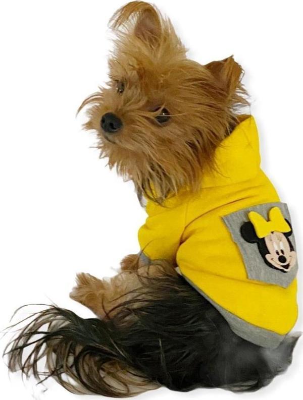 Sarı Sevimli Fare Kapşonlu Sweat by Kemique Köpek Kazağı  - Image 1