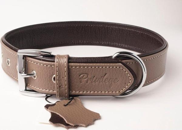 Privilege Flotter Hakiki Deri Köpek Boyun Tasması L Toprak Rengi Kahverengi 3X47-56 Cm - Image 1