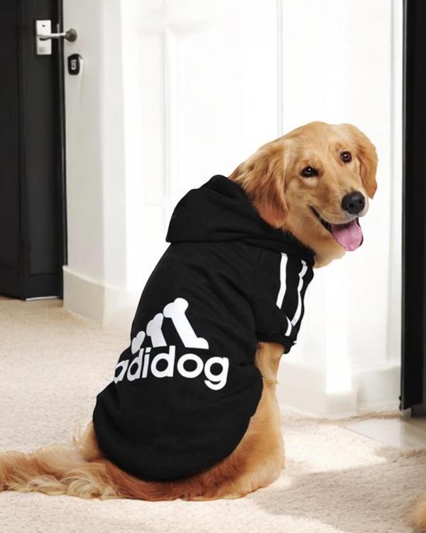 Siyah Adidog Kapşonlu Sweatshirt, Orta ve Büyük Irklar İçin - Image 1