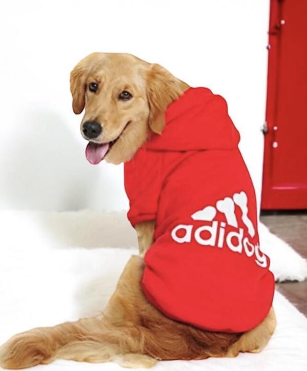 Kırmızı Adidog Kapşonlu Sweatshirt, Orta ve Büyük Irklar İçin - Image 1