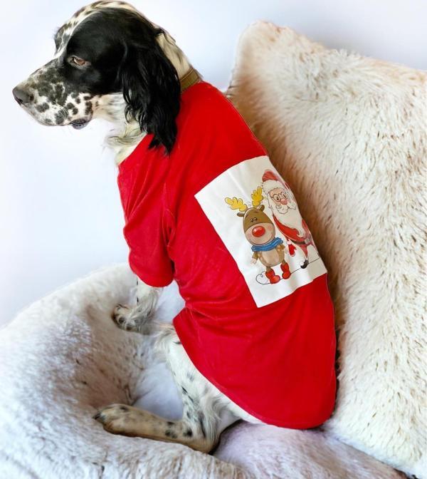 Santa and Friend Rudolph Orta ve Büyük Irk Köpek Tişörtü Yılbaşı Noel - Image 1