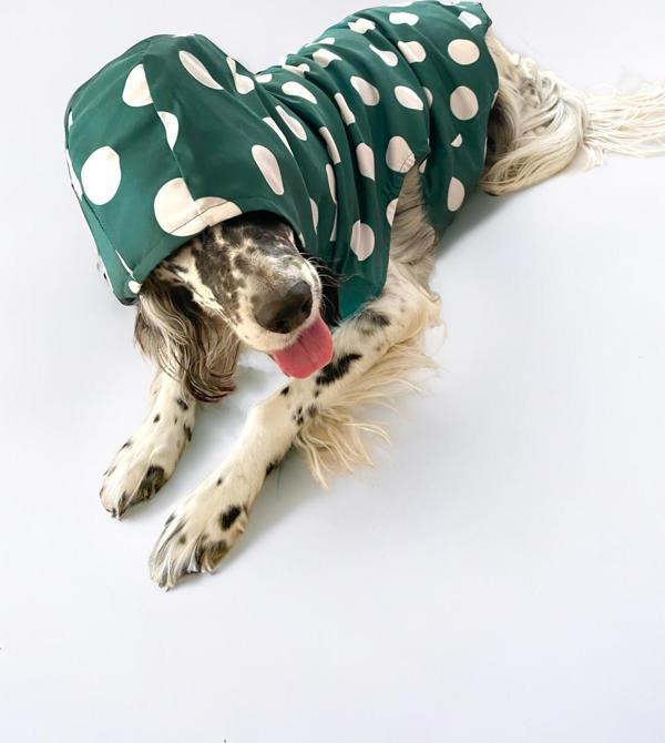 Mega Dots Green Köpek Kapşonlu Yağmurluk Orta ve Büyük Irklar İçin - Image 1