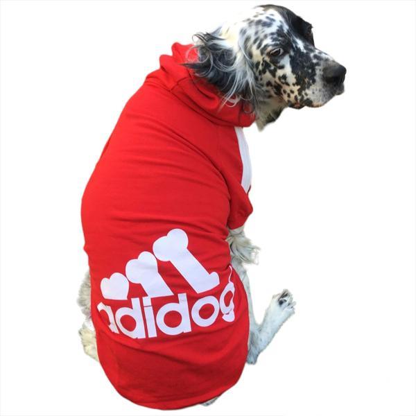 Kırmızı Kapşonlu Sweatshirt, Orta ve Büyük Irklar İçin - Image 1