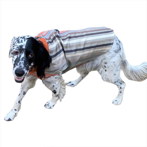 Stripe Orange Köpek Ceketi, Orta ve Büyük ırklar için - Image 1