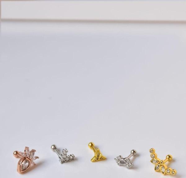 Çelik Gold-Rodyum Kaplama Çelik Tragus 5'li Küpe Kombin5 - Image 1