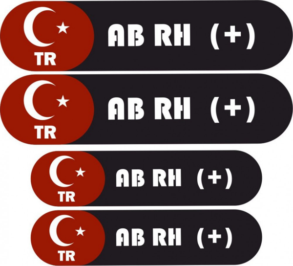 KAN GRUBU KASK ETİKETİ 4 PARÇA AB RH (+) ETİKET STİCKER - Image 1
